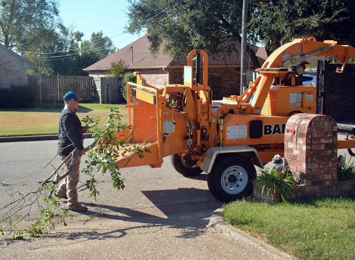 Tree removal crew member feeding cut limbs into a wood chipper on a residential job in the Kennebec Valley